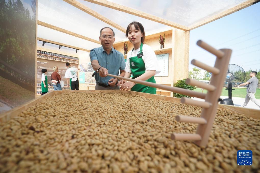 送彩金白菜网大全